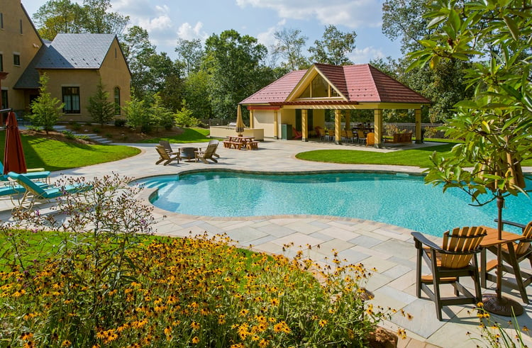 best shrubs and trees around pools