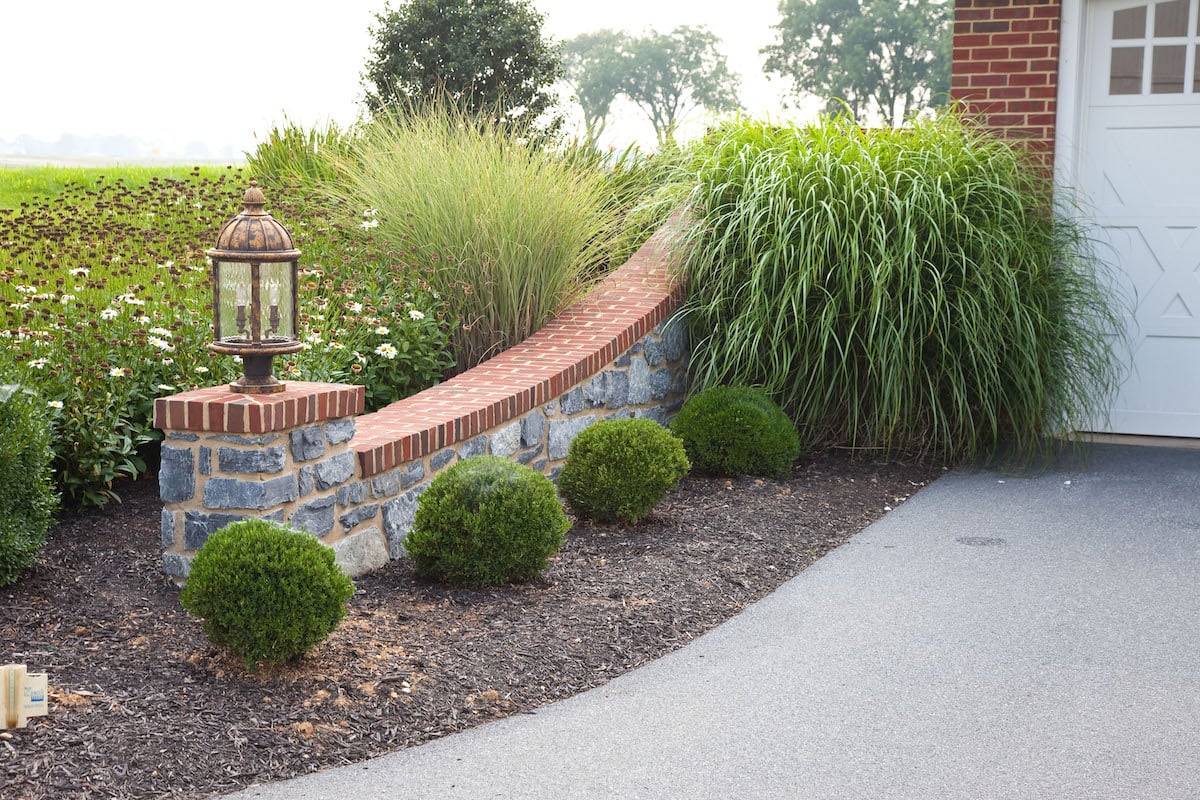 Front landscape wall and plantings