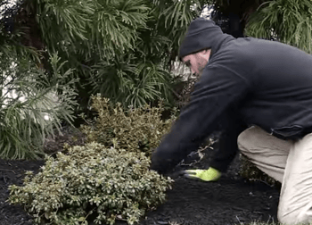 Explore landscaping jobs in Lancaster, PA with Earth, Turf, & Wood