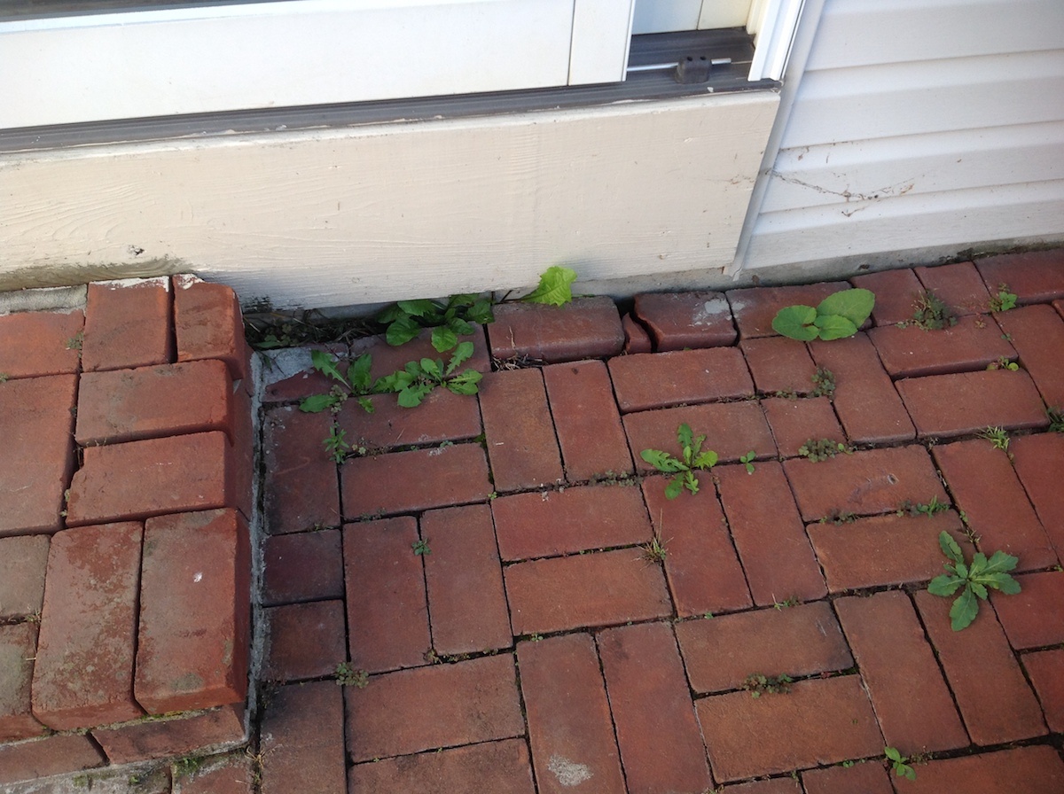 uneven pavers and weeds