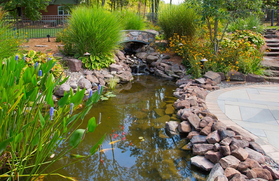 Outdoor Living: Considering Texture in Your Landscape